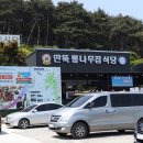 통나무아일랜드 이미지