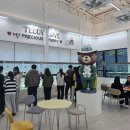 대구강아지분양 테디럽 이미지