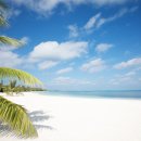 더 리얼사우스 이미지