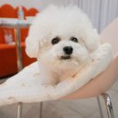 더 담다(The 담다) 이미지