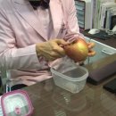 중화스쿼시 이미지