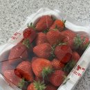 태홍농장 네이버블로그