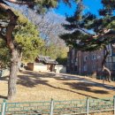 한우리독서토론논술성주교습소 | 왕과사는남자/구미사육신생육신/구미독서논술/옥계한우리