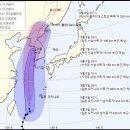 링링(LING LING) 이미지