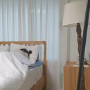 황실세탁 이미지