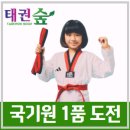 태권숲 여아전문태권도장 | 태권숲 여아 전문 태권도 딸아이 국기원 심사 1품 도전!