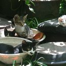 신흥아파트 이미지