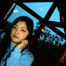 너구리의 피난처 이미지