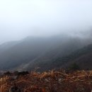 미산회관 이미지