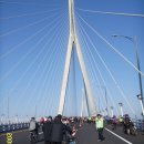 그린바이크 이미지