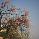 이정규 카카오 검색결과