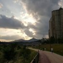 사노교