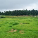 이시돌목장 | 흐린 날에도 제주 서쪽 아이랑 여행, 성이시돌 목장 추천 후기