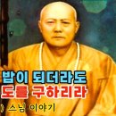 마음의 병을 고치기 위해 출가한 동산 스님 이미지