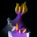 본라인한의원 이미지