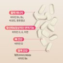 플로라 이미지