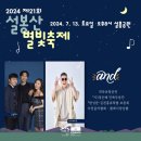 별빛백도 이미지