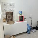 멍뭉이 살롱 이미지