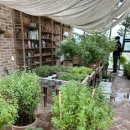 뚜쥬루돌가마점 이미지