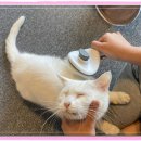 아이조아요양보호소 전남광주점 이미지