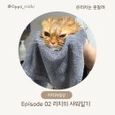 뽀송그루밍 | [ 리치 일상 EP.02 ] 리치가 목욕하고 뽀송해졌어요.