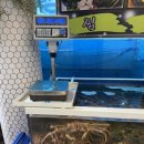 기장대게 | 부산기장맛집, '기장명품대게' 솔직후기🦀