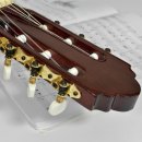 클래식기타(기초) 이미지