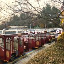 수원시 팔달구 창룡대로103번길 | 수원 화성어차 현장예매 가격 시간표 아이랑 탑승 후기