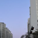 김가네김밥 강서점 이미지