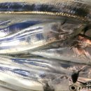 고흥-6호 이미지