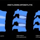 삼성본정형외과의원 이미지
