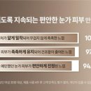 까멜리오 이미지