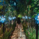 장지 체육공원 이미지