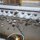 힐링샷