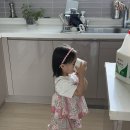 남대문 아동복 푸엘라플로 25 여름 젤리블라우스 캔디팬츠