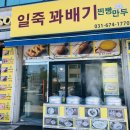 일죽꽈배기 이미지
