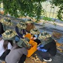 장성마을농장 이미지