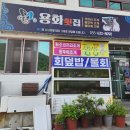 용화횟집 | 거제 맛집 용화횟집 거제에서 먹어봐야하는 코끼리조개 왕우럭 후기