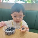 김봉태농장 이미지