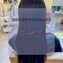 샴푸헤어크리닉 | 광명사거리미용실 크리닉맛집 다움헤어 (밀본크리닉 후기)