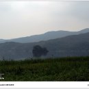 편지다방 이미지