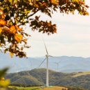 꿀꿀이목장 이미지