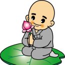 솔낭 이미지