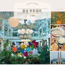 총각닭집 | 일상 포토덤프 1. 여름인 듯 가을인 듯한 하루 모음