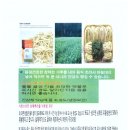 오씨오씨 이미지