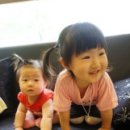 윤이 농장 이미지