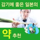 스고이몰