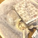 요요플라워 | 유모차 햇빛가리개 모기장 헬로미니미 내돈내산 한달 사용후기 / 전 유모차 호환가능