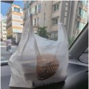 원조김밥친구 이미지