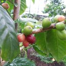 향교농장 이미지